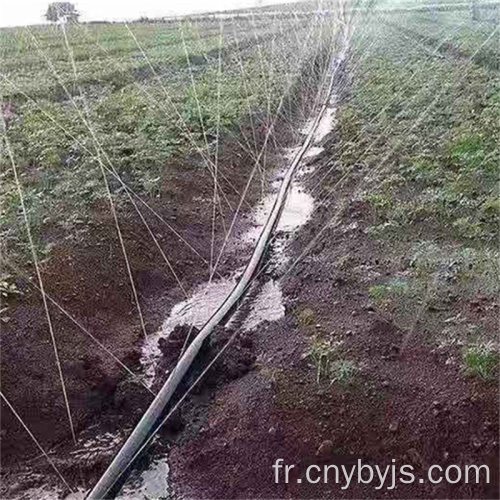 Tuyau de micro-pulvérisation d&#39;arrosage d&#39;irrigation agricole